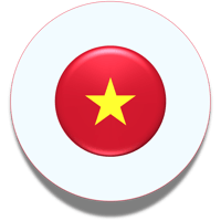 Vietnam Flag